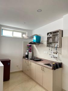 加德满都Himalayan Laligurans Apartments的带水槽和台面的厨房 更多4张照片