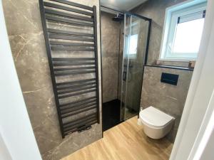 a bathroom with a toilet and a glass shower at Mondri in Winterswijk