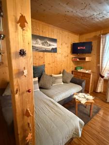 a living room with a couch and a tv at Ferienhaus Messner in Hohentauern