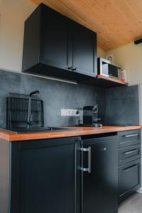 a kitchen with black cabinets and a sink at Seljalandsfoss cottage in Hvolsvöllur +15 photos
