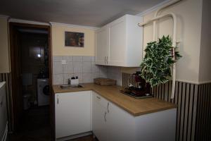 Η κουζίνα ή μικρή κουζίνα στο Csilla Apartman