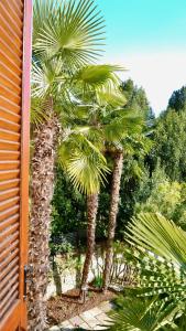 Φυσικό τοπίο κοντά σε αυτό το διαμέρισμα