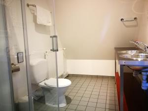 een badkamer met toilet en wastafel bij Maison 3 in Souvigny +5 foto's