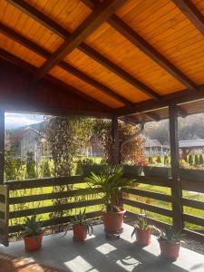 patio con piante in vaso e pergolato in legno di La Mary a Borşa