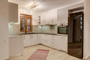 Kuchyň nebo kuchyňský kout v ubytování Villa Athina Stone & Snow