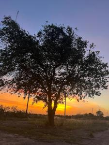 Η ανατολή ή δύση του ηλίου όπως φαίνεται από αυτή η παραθεριστική κατοικία ή από εκεί κοντά +6 φωτογραφίες