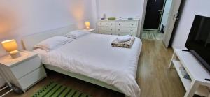 Postel nebo postele na pokoji v ubytování Apartament Atlas