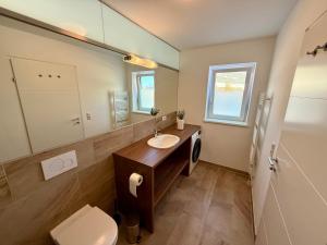 Un baño con lavabo, inodoro y espejo. en Alpnova Homes - TOP 3, en Roppen