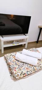 TV a/nebo společenská místnost v ubytování Apartament Atlas