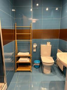 a bathroom with a toilet and a sink at Apartamento Blascondo in Broto +16 photos
