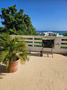 サンタンヌにあるAppartement spacieux avec vue sur mer à Sainte-Anneの白いフェンスの裏にあるバーベキューグリル +8枚の写真