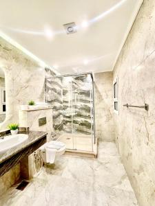 Un baño con ducha, inodoro y lavabo. en Comfort Giza View, en El Cairo 87 fotos más