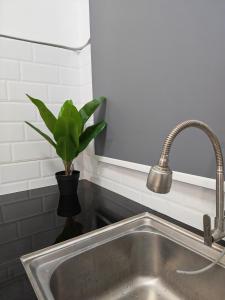 Un fregadero de cocina con grifo y una planta en Cozy Haven 暖心居, en Simpang Ampat