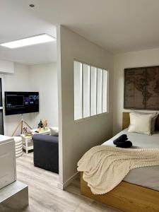 ein Schlafzimmer mit einem Bett und einem Flachbildfernseher in der Unterkunft Appartement avec jacuzzi proche du centre in Straßburg