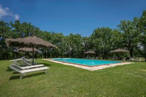 una piscina con sillas y sombrillas en el césped en Belvedere - Falceto, Ambra, Toscana, en Ambra