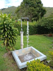 una fontana in mezzo a un cortile di Cabaña Villa La Morena a Yumbo