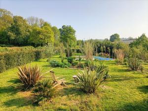 Un jardín con plantas y un estanque al fondo. en Hameau Fleuri, en Pierrefitte-en-Auge