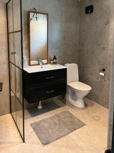 une salle de bain avec toilettes, lavabo et miroir dans l'établissement Archipelago House With Terrace On Scenic Hill, à Åkersberga