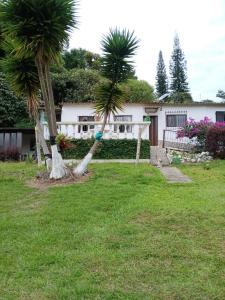 una casa con due palme in un cortile di Cabaña Villa La Morena a Yumbo