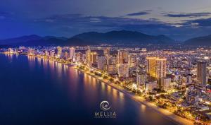 芽庄MELLIA OCEANUS NHA TRANG BAY Five-Star Suites的城市夜景