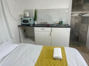 尼夫佐哈Lady S of the DeadSea Crown Group Collection的一间带床、水槽和微波炉的卧室