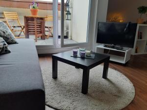 Μια τηλεόραση ή/και κέντρο ψυχαγωγίας στο Beautiful Studio at Geneva airport Ferney Voltaire +16 φωτογραφίες