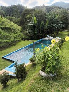 Swimmingpoolen hos eller tæt på Fazenda Alcantilado