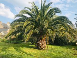 Zahrada ubytování Hâvre De Paix À 2 Pas Du Port + 8 fotografií