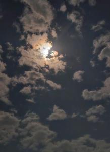 Фотография из галереи Vxgxhc в городе Дехивала