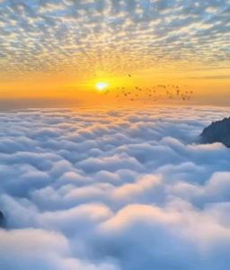 Фотография из галереи Vxgxhc в городе Дехивала