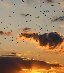 Фотография из галереи Vxgxhc в городе Дехивала