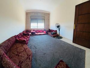 Φωτογραφία από το άλμπουμ του عجلون σε Ajloun