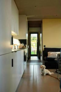 ein Hund, der auf dem Boden einer Küche sitzt in der Unterkunft Modern Cabin By The Cross-Country Trails in Svene