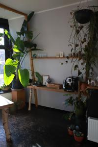 a room with potted plants and a shelf with a table at Stadslogement Valentijn in Sneek