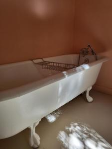 Fotografie z fotogalerie ubytování Villa Olivia v destinaci Riebeek-Kasteel + 25 fotografií