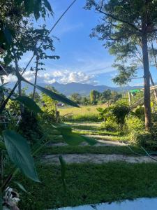 een pad door een veld met bergen op de achtergrond bij Stay here at pai in Pai