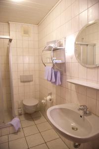 Ένα μπάνιο στο Landhaus Friedrichsfehn