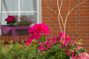 Κήπος έξω από το Landhaus Friedrichsfehn