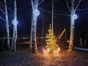 a christmas tree and two reindeer lights in a yard at Namiņš Brīviņi in Jaunjelgava