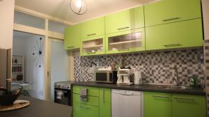 Una cocina con gabinetes verdes y un fregadero. en Štadler's Corner, en Sarajevo