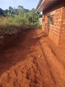 Φωτογραφία από το άλμπουμ του Escapade dans les montagnes de l'Ouest Cameroun, entre Baham, Bandjoun, et Bayangam 