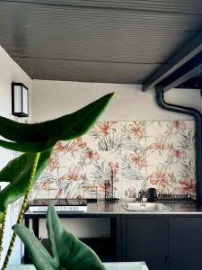 a kitchen with a sink and a flower wallpaper at TERA house&rooms in Reggio di Calabria +37 photos