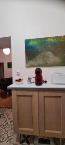 维希L'Absolu 1, Spacieux, rez-de-chaussée, Sécurisé的厨房柜台配有微波炉,墙上挂有绘画作品