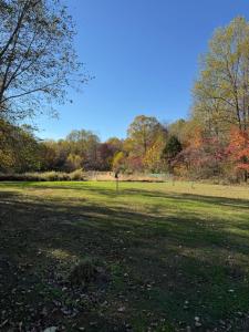 a grass field with trees in the background at Fireflies and night skies! in French Lick +1 photo