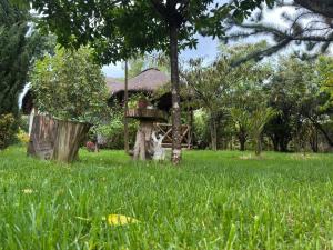 Φωτογραφία από το άλμπουμ του Podocarpus cottages σε Naro Moru