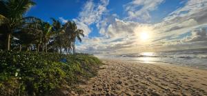 Phong cảnh thiên nhiên gần quán trọ