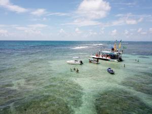 Un paisaje natural cerca del departamento
