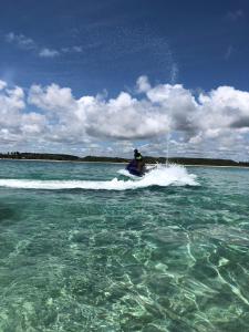 Un paisaje natural cerca del departamento