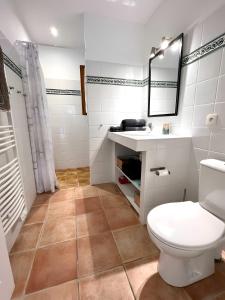 a bathroom with a toilet and a sink and a mirror at Gîte Tango - Les Petites Écuries in Marseillette