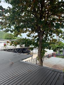 Příroda nedaleko hostelu + 7 fotografií